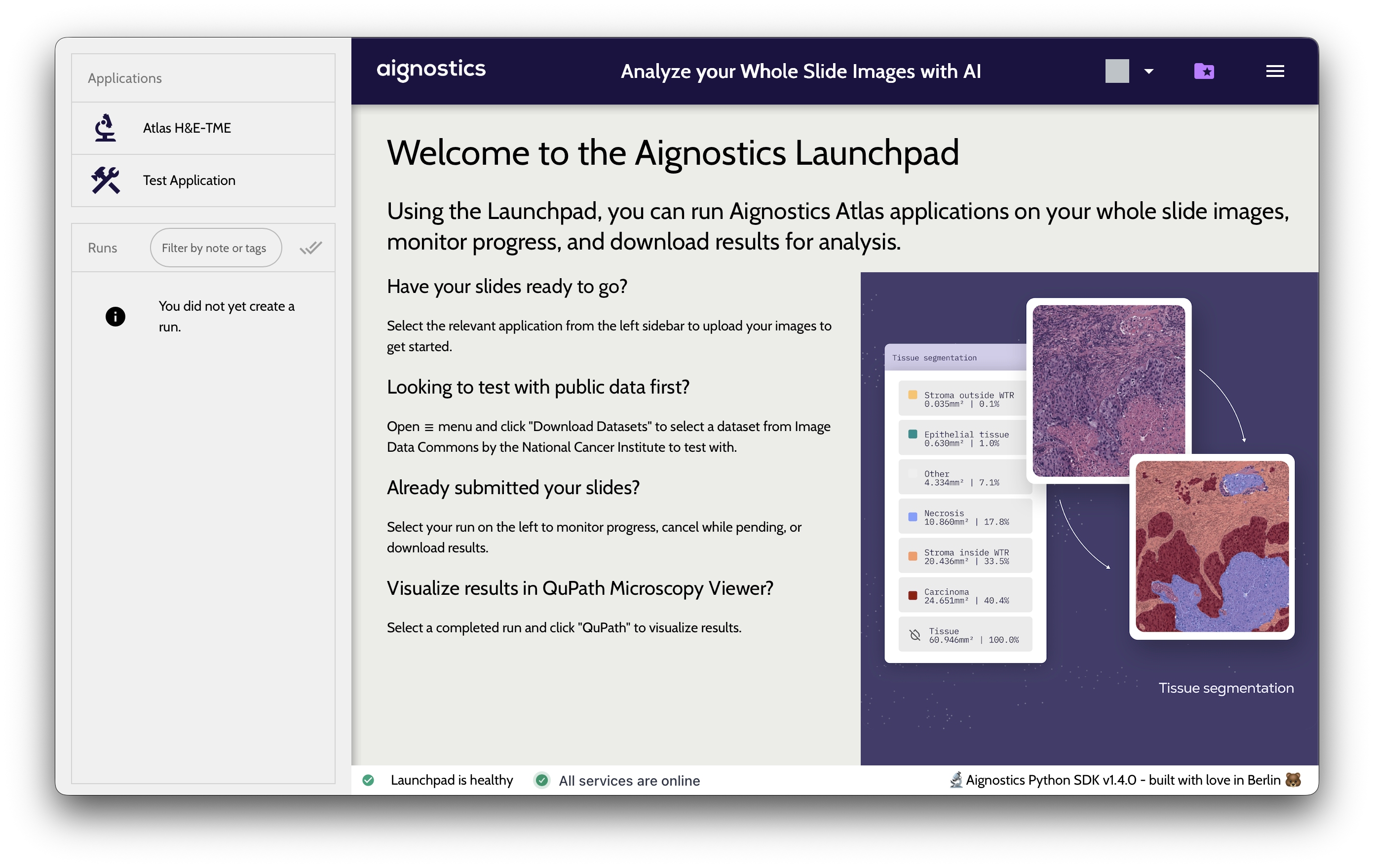 The Launchpad window when it first opens